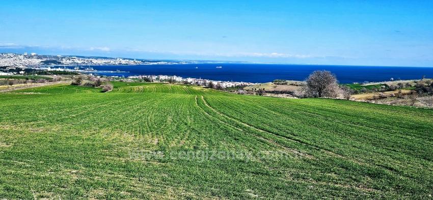 Для продажи Земля в Barbaros Süleymanpaşa Kumbağ - Под Жилье застройку - 19.533 m²