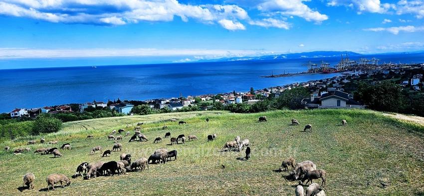 15 Роскошных Вилл С Уникальным Видом На Море И Природу, Расположенных В Подходящем Для Проекта Районе.