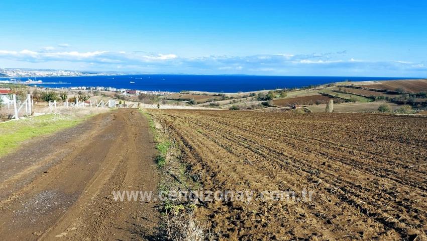 Для продажи Земля в Barbaros Süleymanpaşa Kumbağ - Под Вилла застройку - 6.350 m²