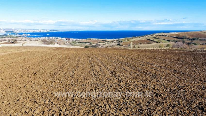 Для продажи Земля в Barbaros Süleymanpaşa Kumbağ - Под Вилла застройку - 6.350 m²