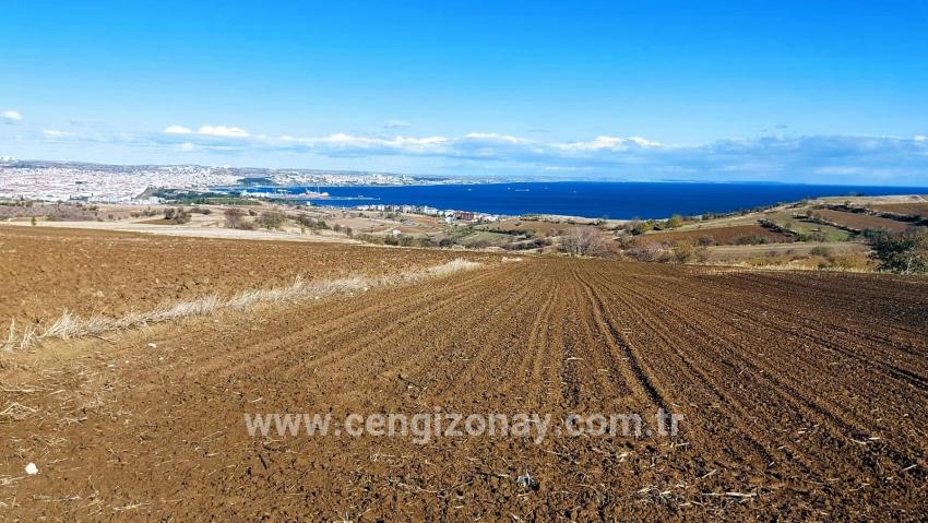 Для продажи Земля в Barbaros Süleymanpaşa Kumbağ - Под Вилла застройку - 6.350 m²