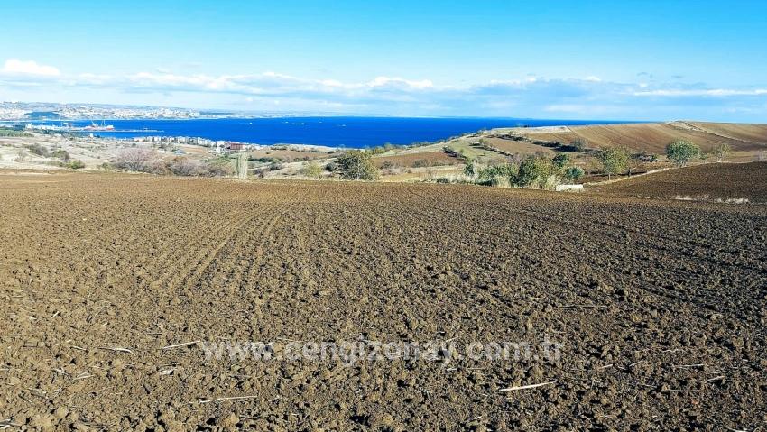 Для продажи Земля в Barbaros Süleymanpaşa Kumbağ - Под Вилла застройку - 6.350 m²