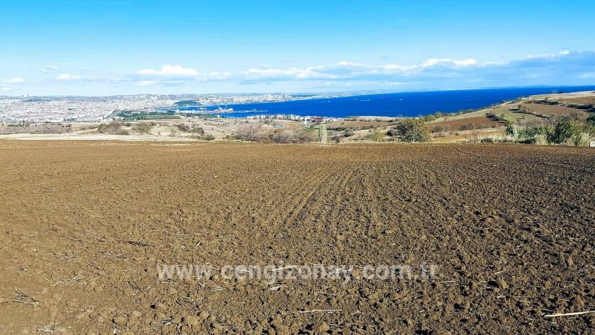 Для продажи Земля в Barbaros Süleymanpaşa Kumbağ - Под Вилла застройку - 6.350 m²