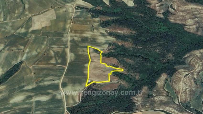 *Бартер+Наличные* Постройте Ферму С Государственной Поддержкой* Производите И Выращивайте* Обеспечьте Свое Будущее*