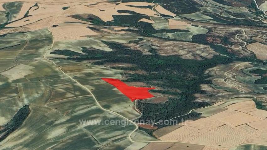 *Бартер+Наличные* Постройте Ферму С Государственной Поддержкой* Производите И Выращивайте* Обеспечьте Свое Будущее*