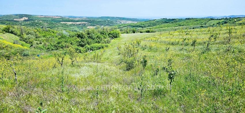 *Бартер+Наличные* Постройте Ферму С Государственной Поддержкой* Производите И Выращивайте* Обеспечьте Свое Будущее*