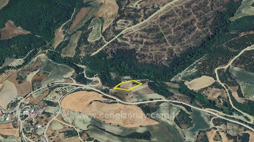 Отдельный Участок, Право Собственности Единоличное, Не Поделено, Очень Близко К Границе Населённого Пункта, Срочная Продажа, Поиск Возможностей