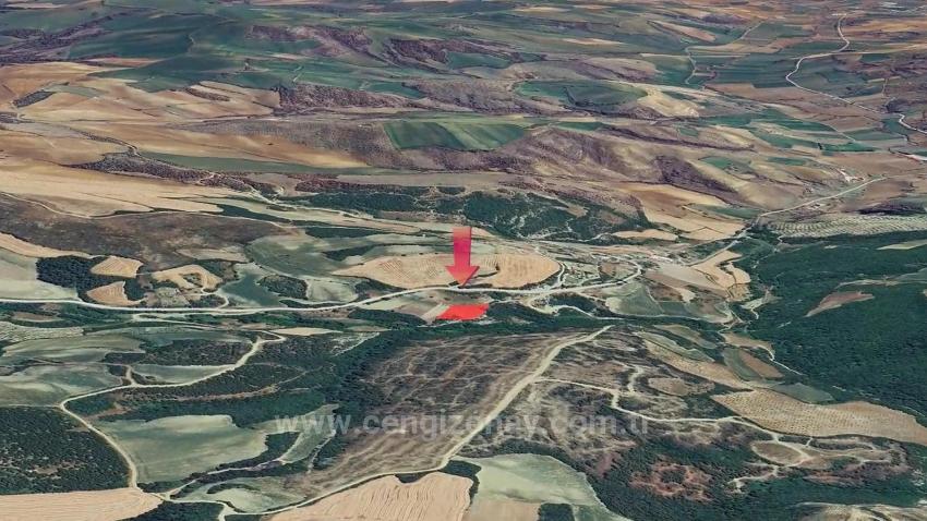 Отдельный Участок, Право Собственности Единоличное, Не Поделено, Очень Близко К Границе Населённого Пункта, Срочная Продажа, Поиск Возможностей