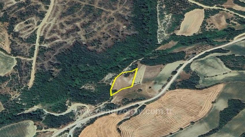 Отдельный Участок, Право Собственности Единоличное, Не Поделено, Очень Близко К Границе Населённого Пункта, Срочная Продажа, Поиск Возможностей