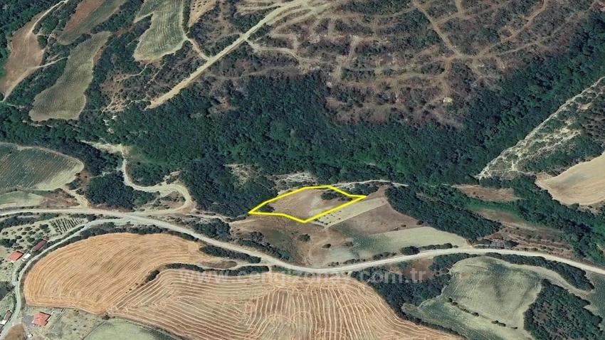 Отдельный Участок, Право Собственности Единоличное, Не Поделено, Очень Близко К Границе Населённого Пункта, Срочная Продажа, Поиск Возможностей