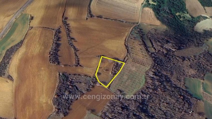 Инвестиционная Возможность: Гарантированно Высокая Прибыль В Краткосрочной Перспективе Для Тех, Кто Хочет Купить И Продать