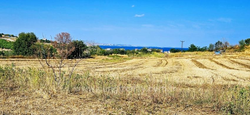 Угловой Участок Площадью 615 М2 По Выгодной Цене, Недалеко От Асиапорта