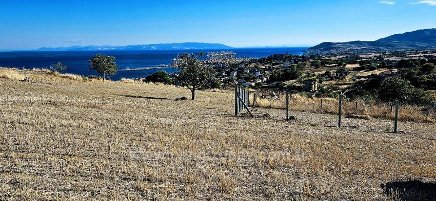 Гарантия Высокой Прибыли Для Тех, Кто Хочет Купить Или Продать. Срочная Продажа Из-За Необходимости В Наличных Деньгах.