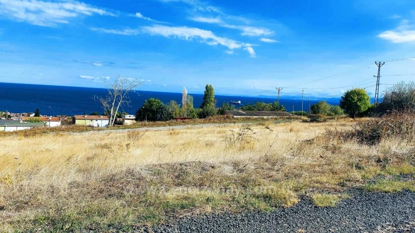 Участок Земли «Триплекс» — Отличная Возможность Для Тех, Кто Хочет Построить Отдельный Дом С Небольшим Капиталом