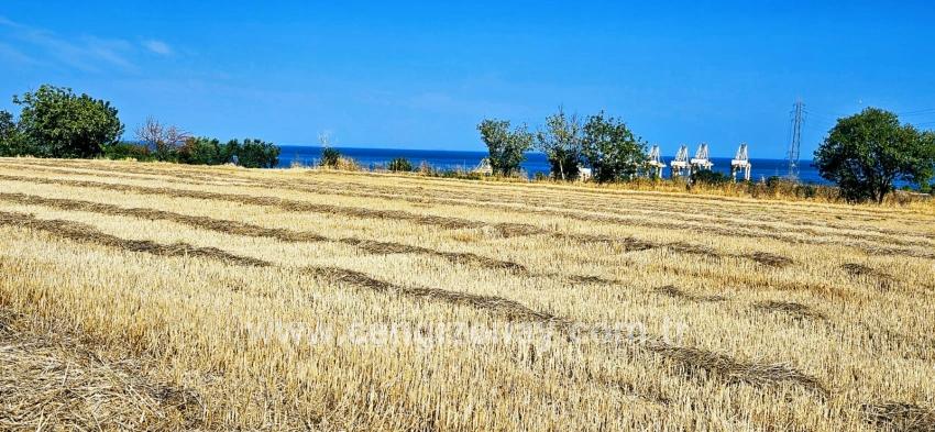 Для продажи Поле в Barbaros Süleymanpaşa Kumbağ - Под Жилье застройку - 8.500 m²