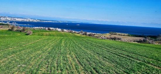 Участок С Панорамным Видом На Море И Природу, Подходящий Для Строительства 75 Вилл В Текирдаге Барбароста