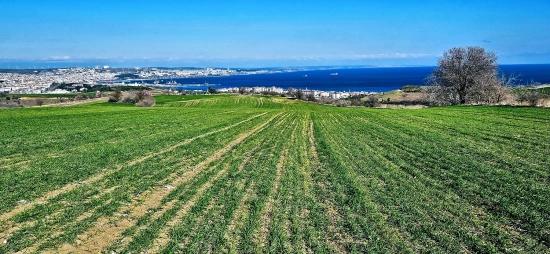 Участок С Панорамным Видом На Море И Природу, Подходящий Для Строительства 75 Вилл В Текирдаге Барбароста