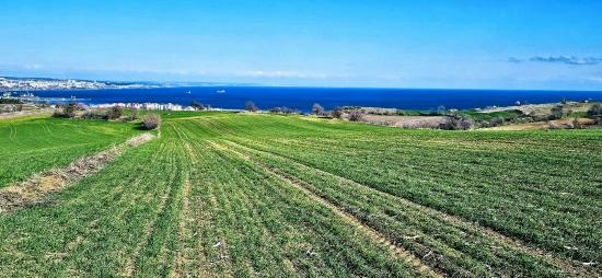 Участок С Панорамным Видом На Море И Природу, Подходящий Для Строительства 75 Вилл В Текирдаге Барбароста