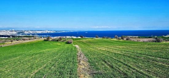 Участок С Панорамным Видом На Море И Природу, Подходящий Для Строительства 75 Вилл В Текирдаге Барбароста