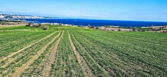 Участок С Панорамным Видом На Море И Природу, Подходящий Для Строительства 75 Вилл В Текирдаге Барбароста