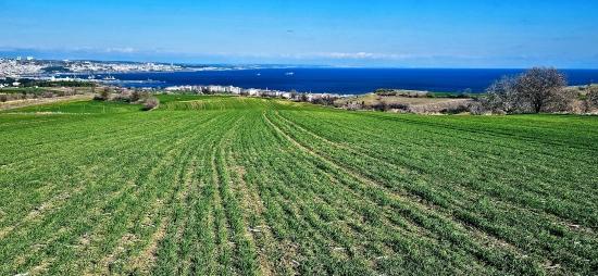 Участок С Панорамным Видом На Море И Природу, Подходящий Для Строительства 75 Вилл В Текирдаге Барбароста