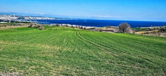 Участок С Панорамным Видом На Море И Природу, Подходящий Для Строительства 75 Вилл В Текирдаге Барбароста
