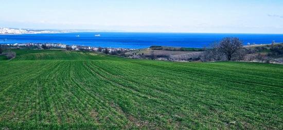 Участок С Панорамным Видом На Море И Природу, Подходящий Для Строительства 75 Вилл В Текирдаге Барбароста