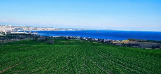 Участок С Панорамным Видом На Море И Природу, Подходящий Для Строительства 75 Вилл В Текирдаге Барбароста