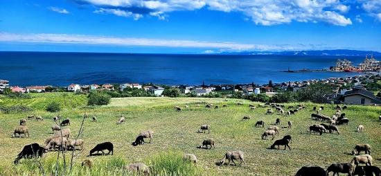 45 Апартаментов 2+1 С Уникальным Панорамным Видом На Море И Природу, Подходящие Для Совместных Проектов