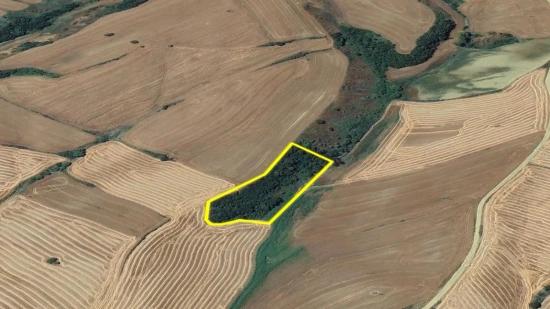 Не Упустите Возможность Инвестировать: 8100 М² Выгодной Земли В Районе Оруч Бейли Города Текирдаг.