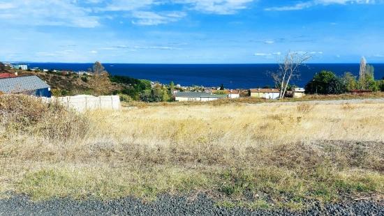 Участок Земли «Триплекс» — Отличная Возможность Для Тех, Кто Хочет Построить Отдельный Дом С Небольшим Капиталом