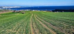 Для Продажи Земля в Barbaros Süleymanpaşa Kumbağ - Под Жилье застройку - 34.500 m²