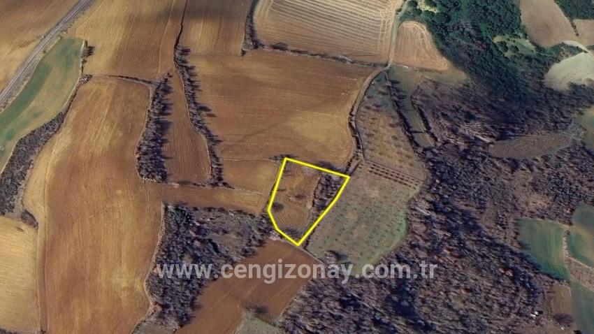 Для Продажи Земля в Çanakçı Süleymanpaşa - Под Поле застройку - 3.110 m²