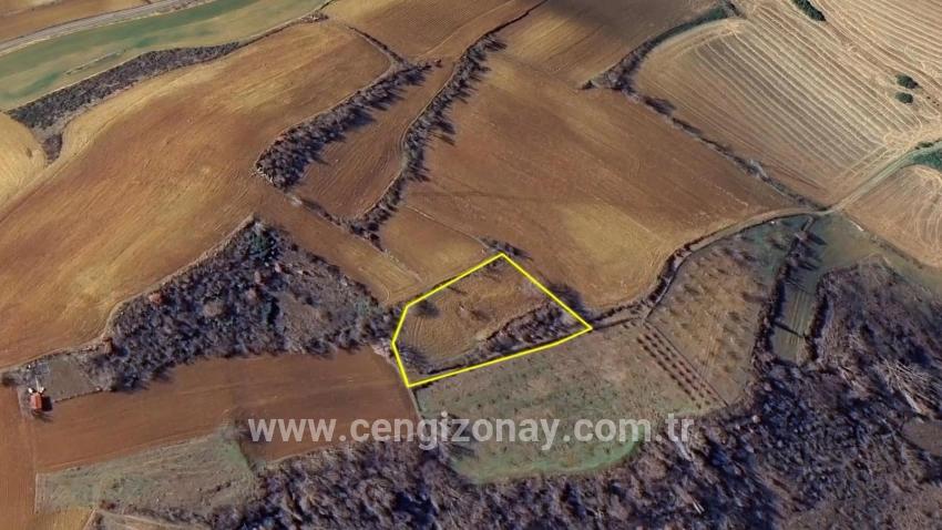 Для Продажи Земля в Çanakçı Süleymanpaşa - Под Поле застройку - 3.110 m²