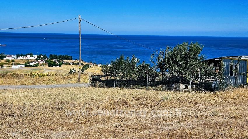 Для Продажи Сюжет в Barbaros Süleymanpaşa Kumbağ - Под Жилье застройку - 580 m²