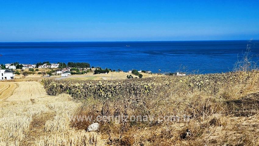 Для Продажи Сюжет в Barbaros Süleymanpaşa Kumbağ - Под Жилье застройку - 580 m²