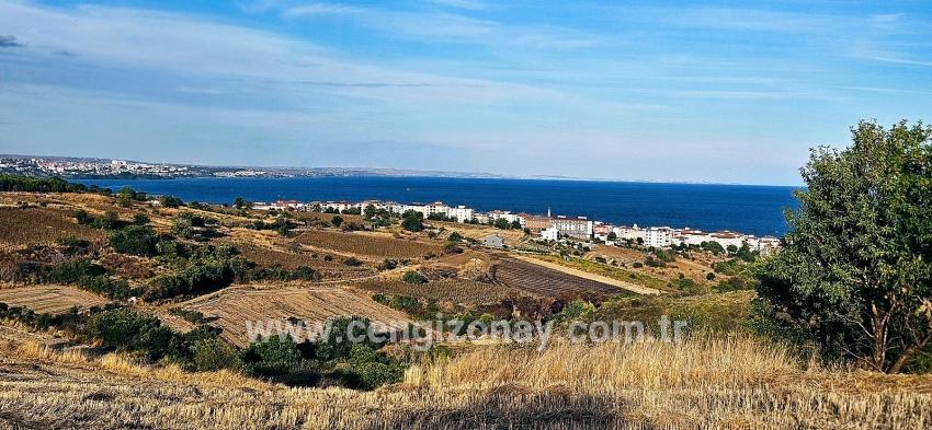 Для Продажи Сюжет в Topağaç Süleymanpaşa Altınova - Под Вилла застройку - 1.150 m²