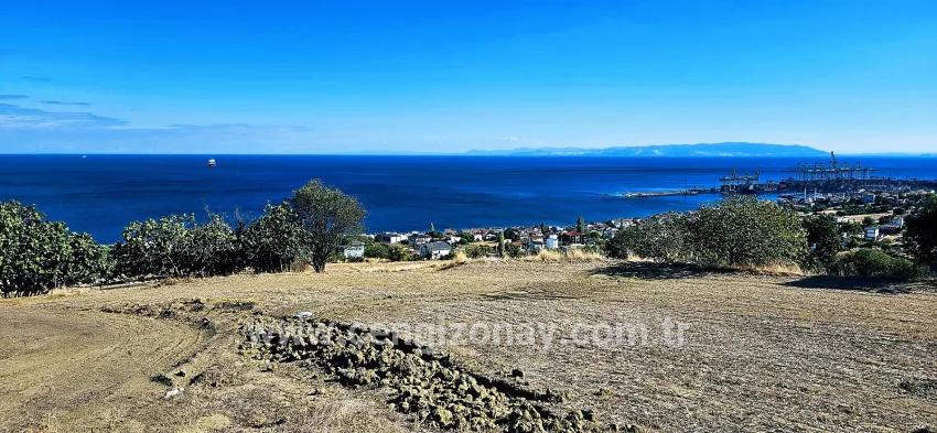 Süleymanpaşa Kumbağ Barbaros Mah. Satılık Arsa - Konut İmar Durumlu - 2.780 m²