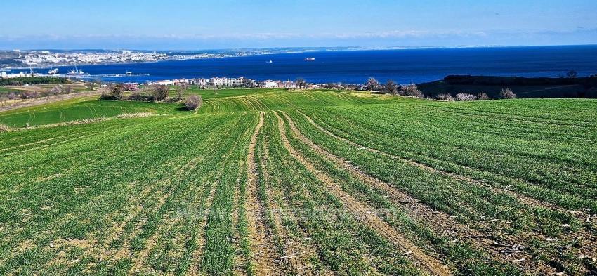 Tekirdağ Barbarosta 75 Adet Villa Projesine Uygun Full Deniz Ve Doğa Manzaralı Arazi