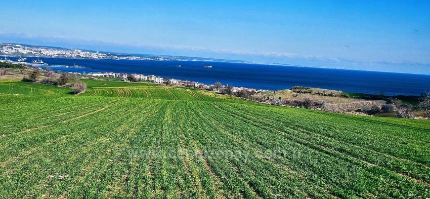 Tekirdağ Barbarosta 75 Adet Villa Projesine Uygun Full Deniz Ve Doğa Manzaralı Arazi