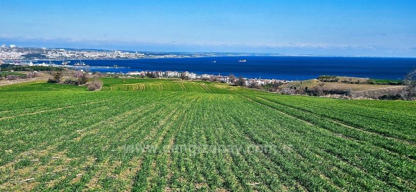 Tekirdağ Barbarosta 75 Adet Villa Projesine Uygun Full Deniz Ve Doğa Manzaralı Arazi