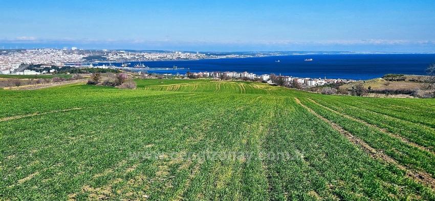Süleymanpaşa Kumbağ Barbaros Mah. Satılık Arazi - Konut İmar Durumlu - 19.533 m²