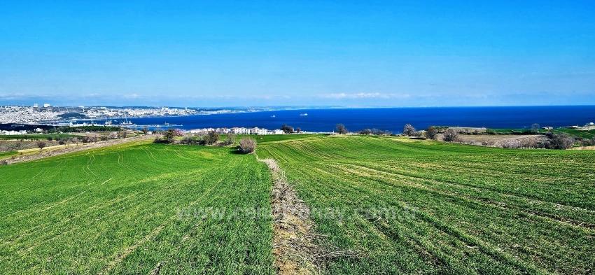 Tekirdağ Barbarosta 75 Adet Villa Projesine Uygun Full Deniz Ve Doğa Manzaralı Arazi
