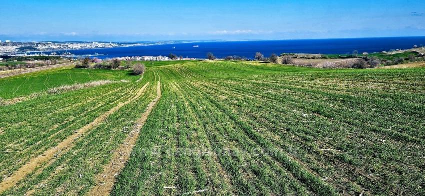 Tekirdağ Barbarosta 75 Adet Villa Projesine Uygun Full Deniz Ve Doğa Manzaralı Arazi