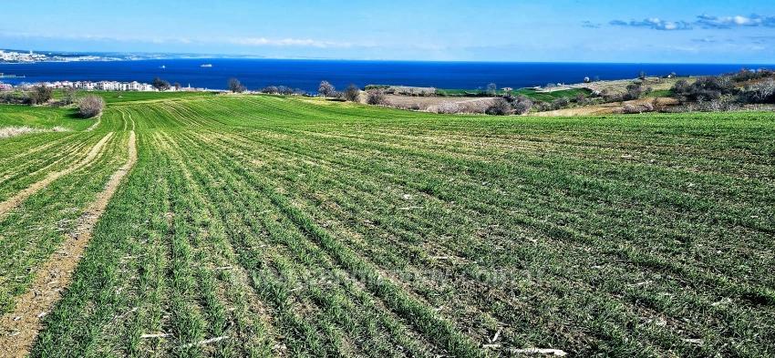 Süleymanpaşa Kumbağ Barbaros Mah. Satılık Arazi - Konut İmar Durumlu - 19.533 m²