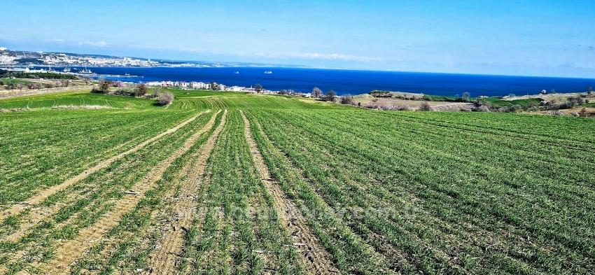 Tekirdağ Barbarosta 75 Adet Villa Projesine Uygun Full Deniz Ve Doğa Manzaralı Arazi