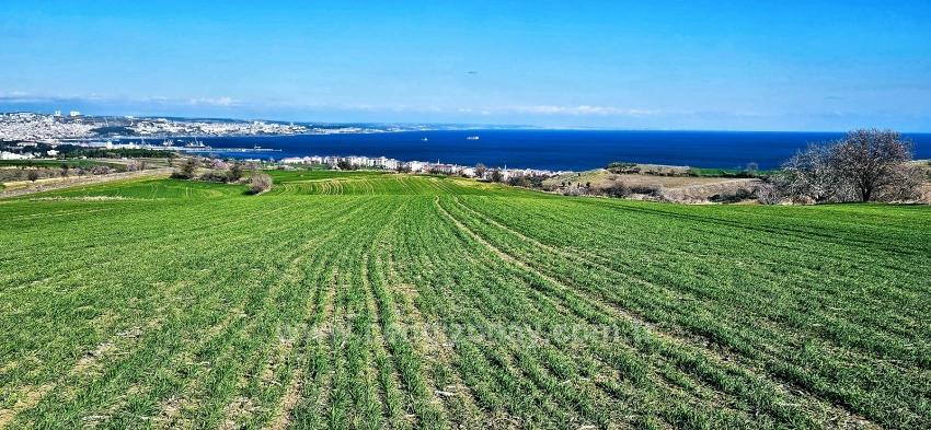 Tekirdağ Barbarosta 75 Adet Villa Projesine Uygun Full Deniz Ve Doğa Manzaralı Arazi