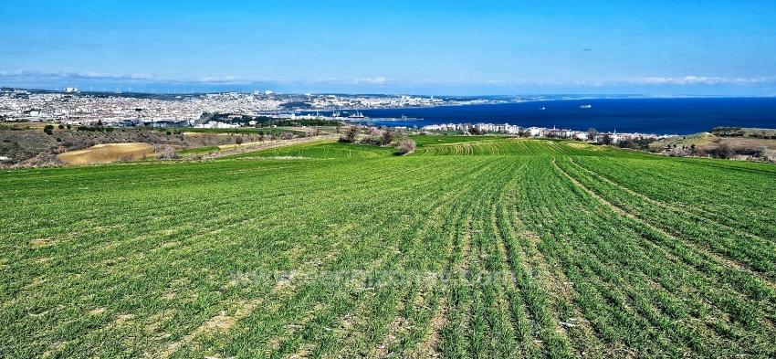 Tekirdağ Barbarosta 75 Adet Villa Projesine Uygun Full Deniz Ve Doğa Manzaralı Arazi