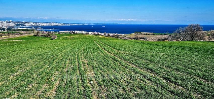Süleymanpaşa Kumbağ Barbaros Mah. Satılık Arazi - Konut İmar Durumlu - 19.533 m²