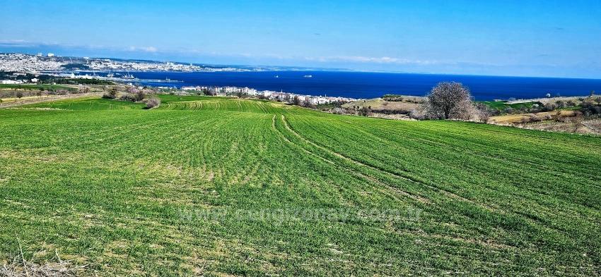 Süleymanpaşa Kumbağ Barbaros Mah. Satılık Arazi - Konut İmar Durumlu - 19.533 m²